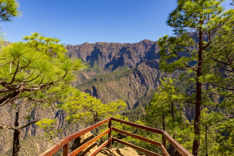 Mirador de la Cumbrecita nel Parco Nazionale della Caldera de Taburiente, circondato da pini canari con vista sull'interno del parco.